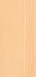 Shine Maple